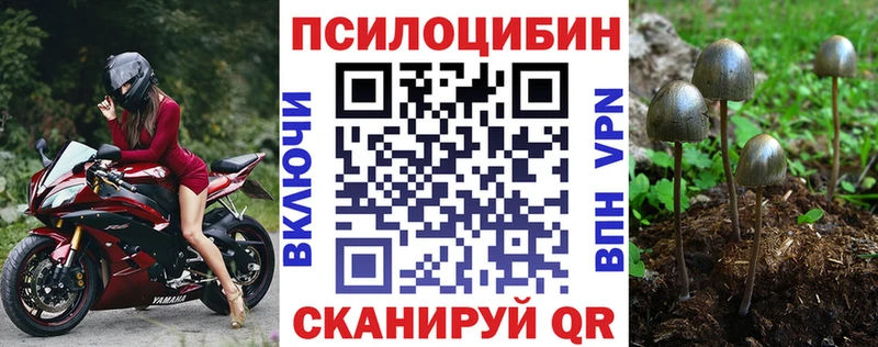Галлюциногенные грибы GOLDEN TEACHER купить наркоту Вельск