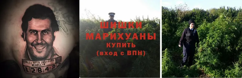 Бошки марихуана OG Kush  Вельск 